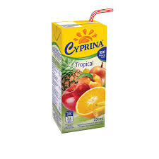 Sultys tropinių vaisių 100% "CYPRINA" 250ml LMD