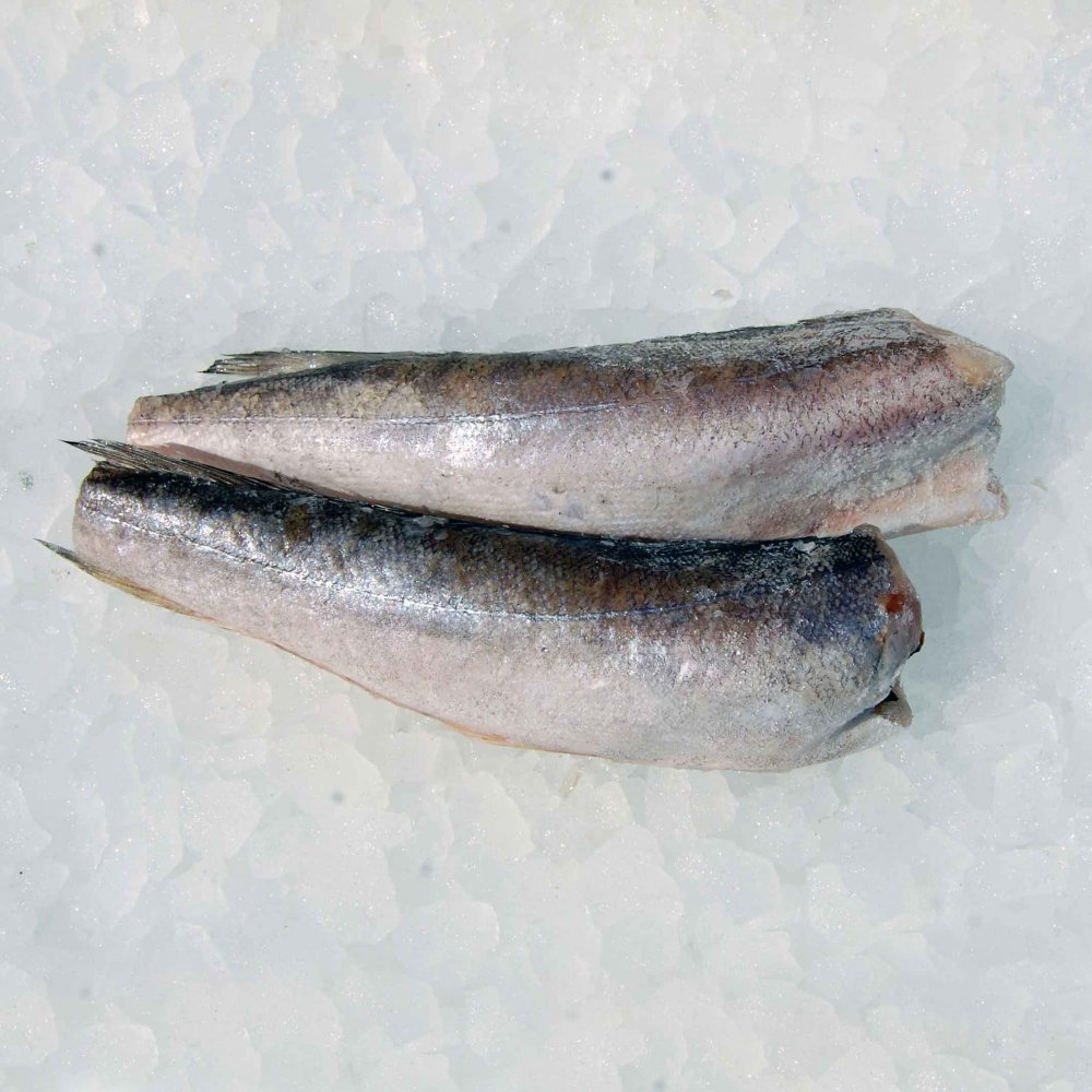 Argentininė Jūros lydeka b/g b/u 200-400 g ~27 kg BDF